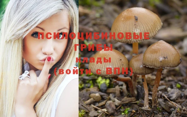 бошки Арсеньев