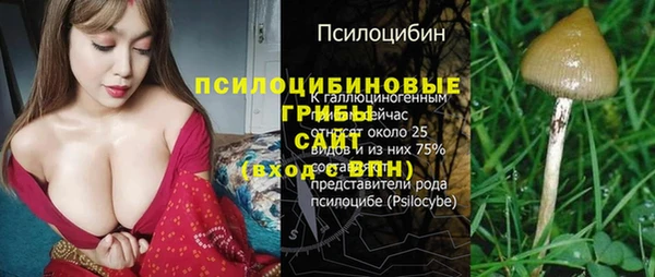 ALPHA PVP Пролетарск